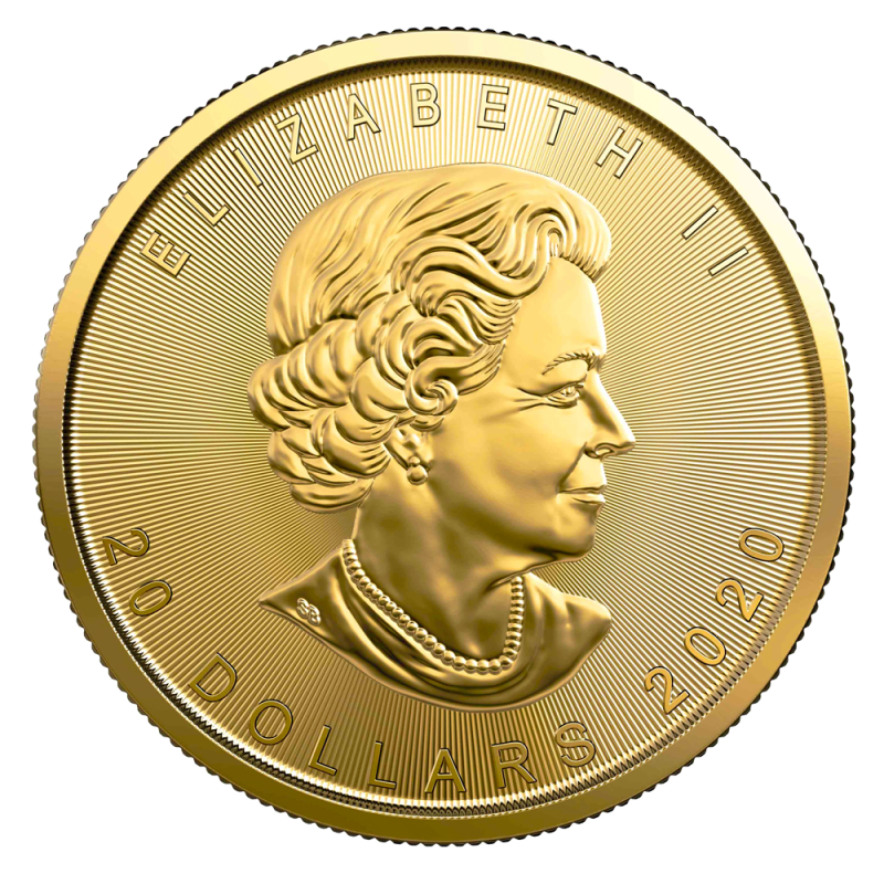 1/2 oz Maple Leaf 2020 Gold Coin(Back) 1/2 oz Maple Leaf 2020 Gold Coin(Back)