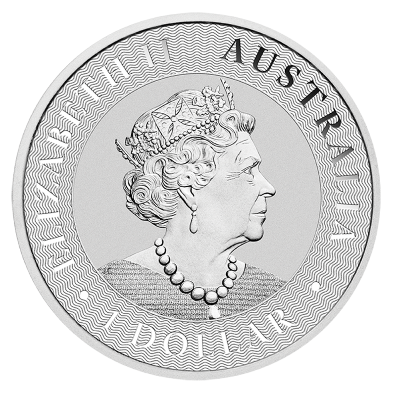 1 oz Kangaroo Silver Coin (2021)(Back) 1 oz Kangaroo Silver Coin (2021)(Back)