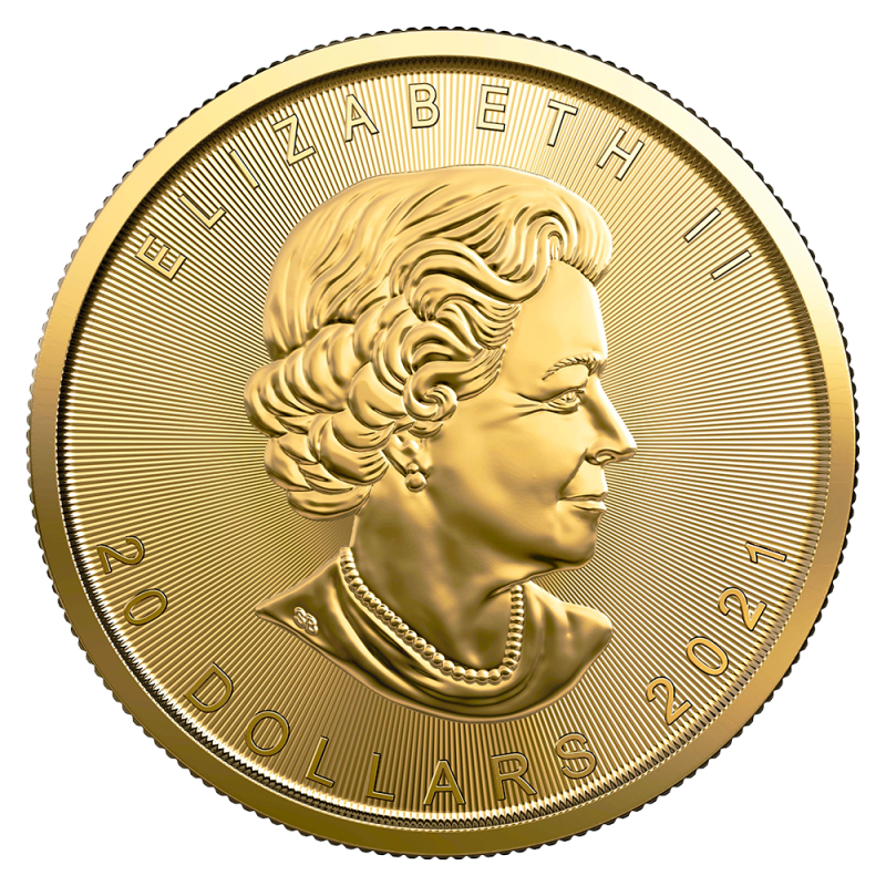 1/2 oz Maple Leaf Gold Coin (2021)(Back) 1/2 oz Maple Leaf Gold Coin (2021)(Back)