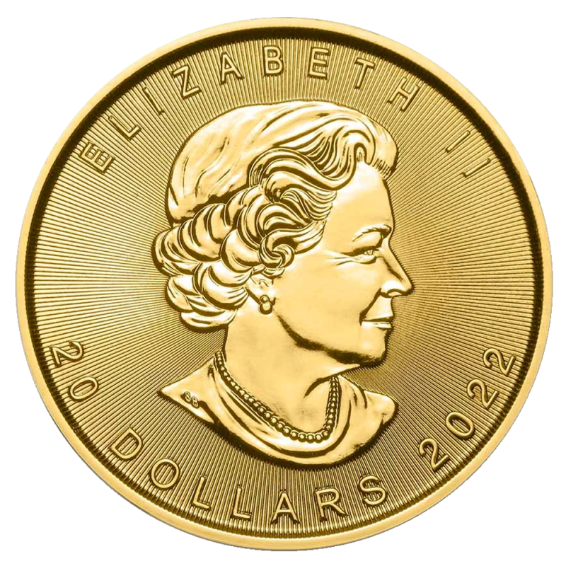 1/2 oz Maple Leaf Gold Coin | 2022(Back) 1/2 oz Maple Leaf Gold Coin | 2022(Back)