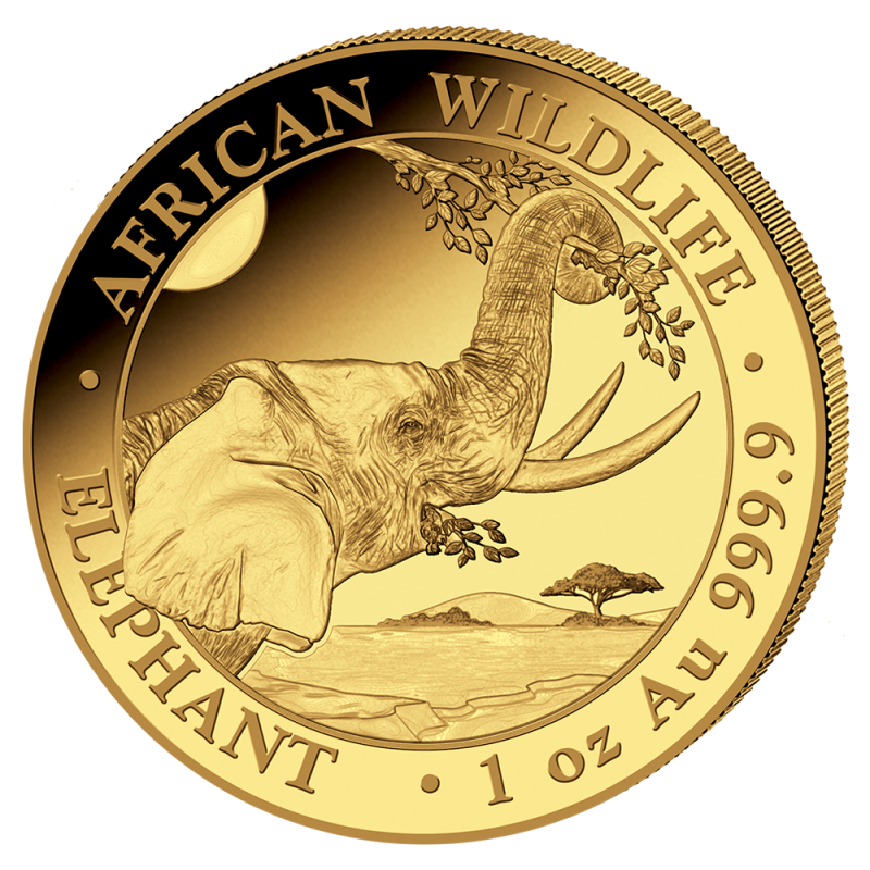 1 oz Somalia Elephant Gold Coin | 2023(Front) 1 oz Somalia Elephant Gold Coin | 2023(Front)