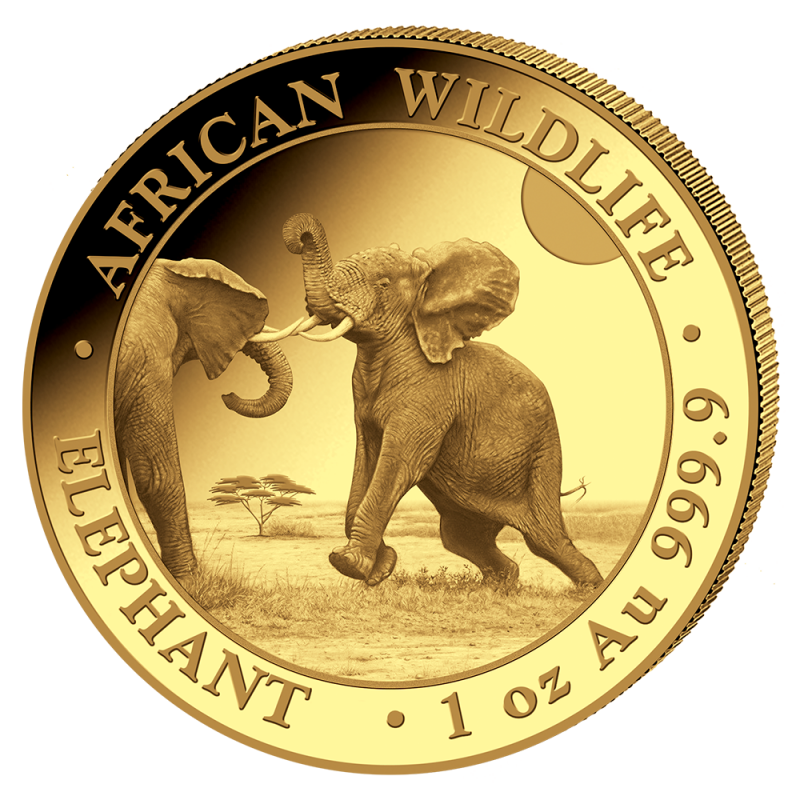 1 oz Somalia Elephant Gold Coin | 2024(Front) 1 oz Somalia Elephant Gold Coin | 2024(Front)